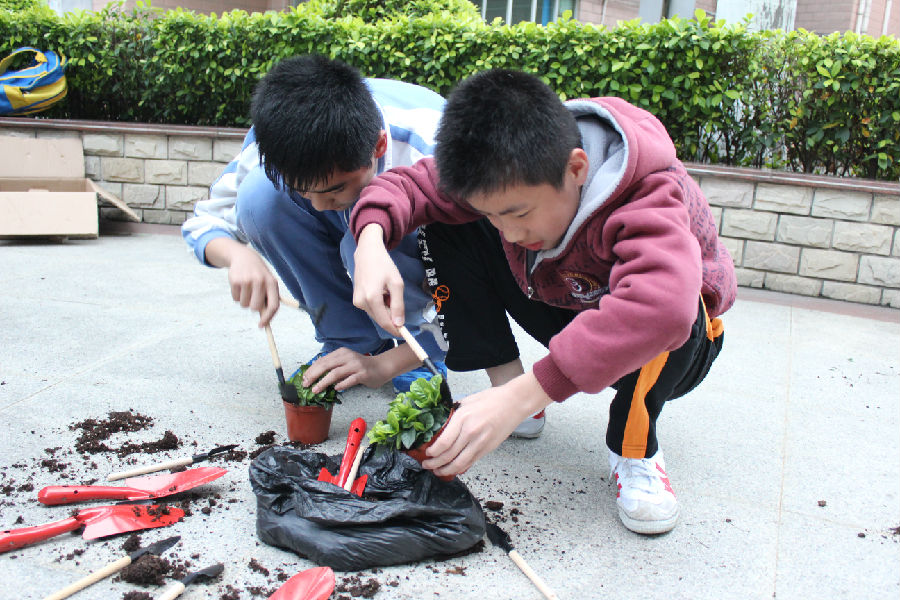 学生种花苗.JPG