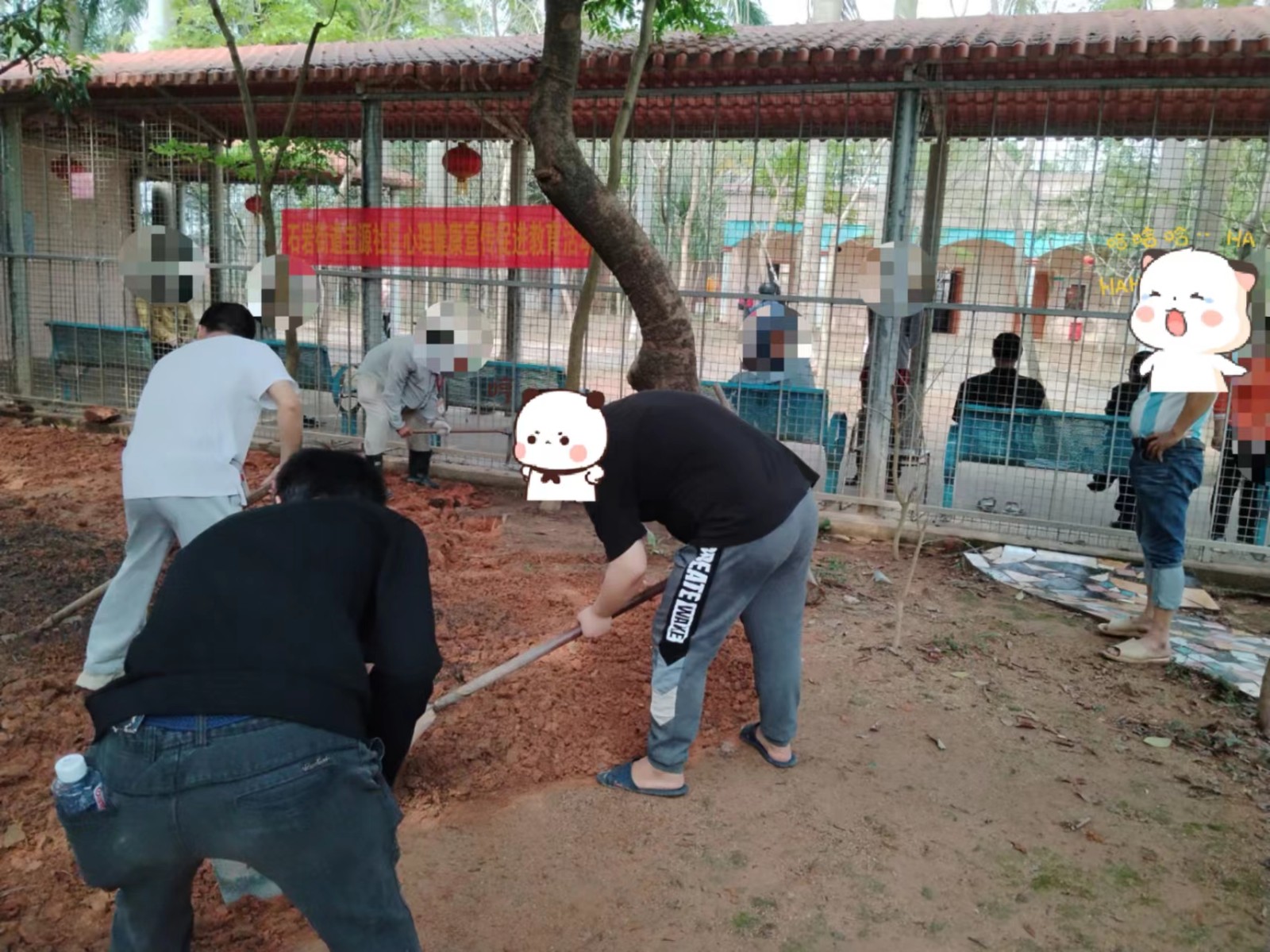 3.分种子播种.jpg 3.分种子播种.jpg